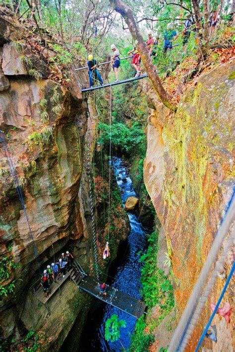 Canyon Canopy, Hacienda Guachipelin | Costa rica adventures, Ziplining, Costa rica activities