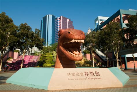 Hong Kong Museum of History - Museum in Kowloon - Go Guides