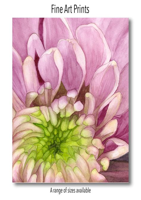 Chrysanthemum Flower A Fine Art PRINT From an Original - Etsy