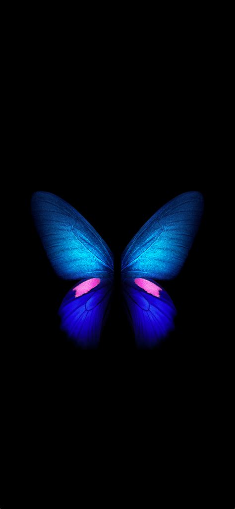 Live Butterfly Wallpapers - Wallpaper Cave