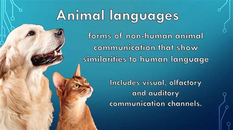 4 types of animal communication ppt