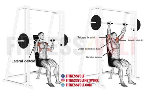 overhead press machine form - Numbers Nagel