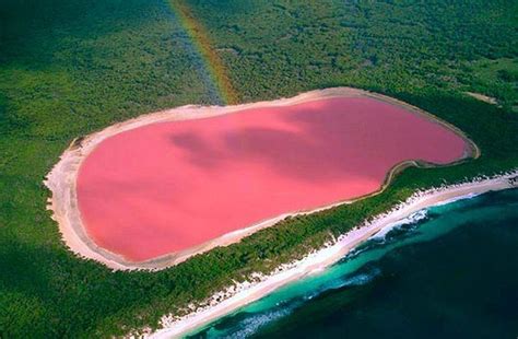 Lake Hillier: The Pink Lake in Australia - Snow Addiction - News about Mountains, Ski, Snowboard ...