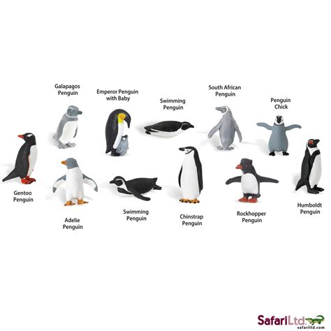 Montessori-Inspired Continent Activities - Penguins of Antarctica