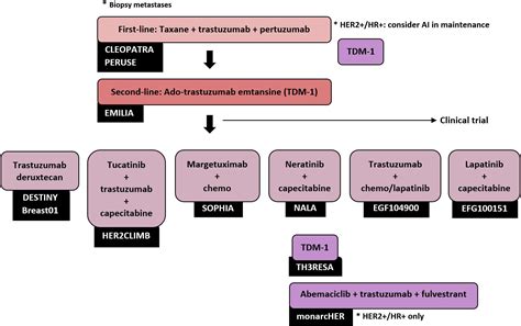 HER2-positive advanced breast cancer treatment in 2020 - Cancer Treatment Reviews