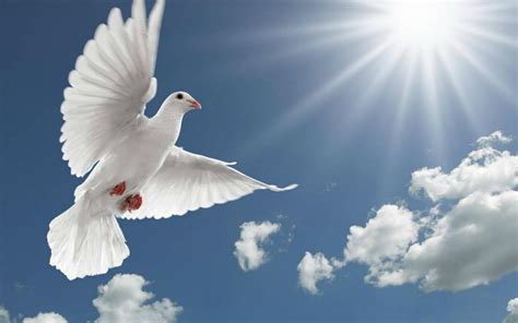 Holy Spirit HD Wallpapers - WordZz