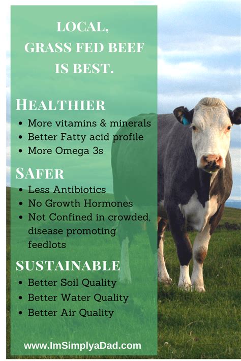 Grass Fed Beef Benefits & Why You Should Buy Locally - I'm Simply A Dad ...