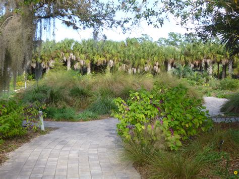 naples botanical garden 035 | Naples Botanical Garden | Flickr