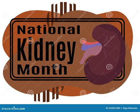 National Kidney Month, Idea for a Poster, Banner, Flyer or Postcard on a Medical Theme Stock ...