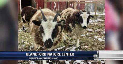 Experience winter farm life at the Blandford Nature Center Farm