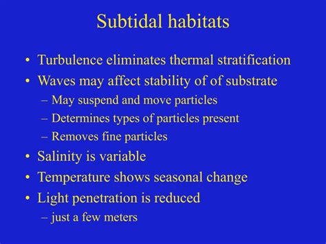 PPT - Soft Substrate Communities: The intertidal and subtidal zones ...