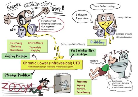 Lower urinary tract obstruction: clinical features - Creative Med Doses