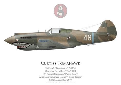 Curtiss P-40 Tomahawk.~ BFD | Wwii aircraft, Aircraft, Fighter planes