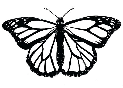 Monarch Butterfly Outline | Free download on ClipArtMag