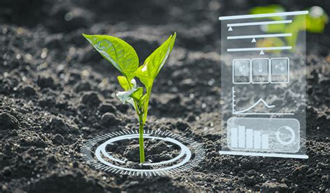 AI in Agriculture and Farming: Revolutionizing Crop Growth - Intellias