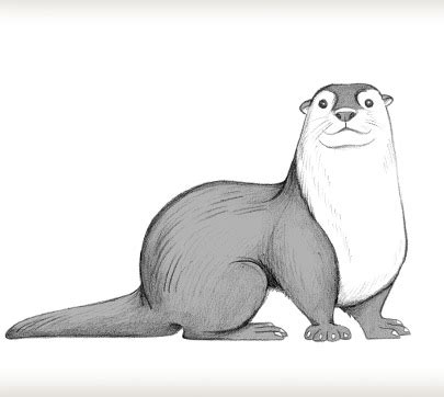 River Otter Drawing