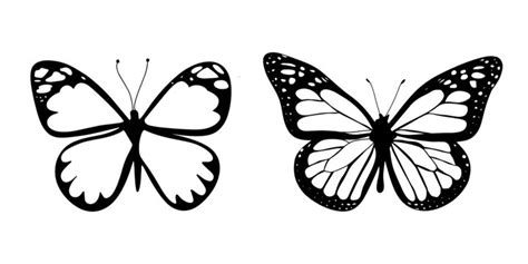 Butterfly Vector Posters