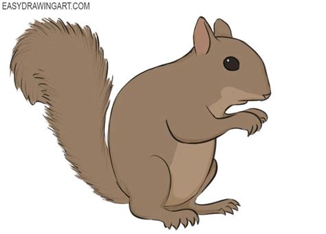 How to Draw a Squirrel | Easy Drawing Art | Squirrel, Easy drawings ...