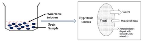 Schematic diagram of the osmotic dehydration process | Download ...