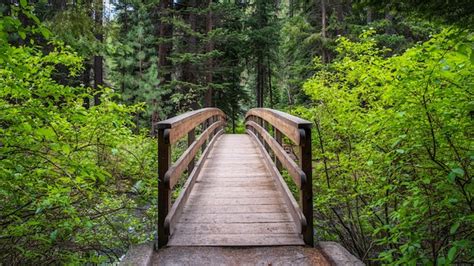 800+ Wooden Footbridge Pictures