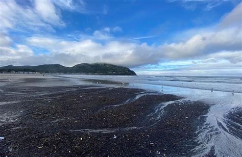 Rockaway Beach Oregon Weather