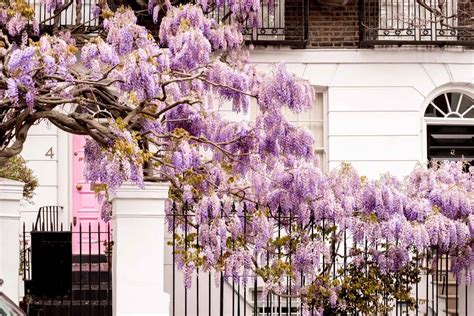 Spring In London, England | 21 Things To Do And See