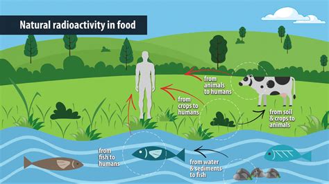 Natural Radioactivity in Food: Experts Discuss Harmonizing International Standards | IAEA