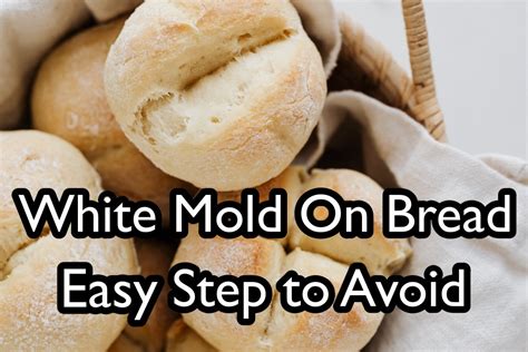 White Mold On Bread - Easy Step to Avoid - Dry Street Pub and Pizza