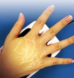 Palm Vein Recognition System at best price in Chandigarh by Satya ...