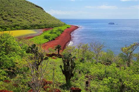 The Galapagos Islands, a wildlife paradise Uncover South America