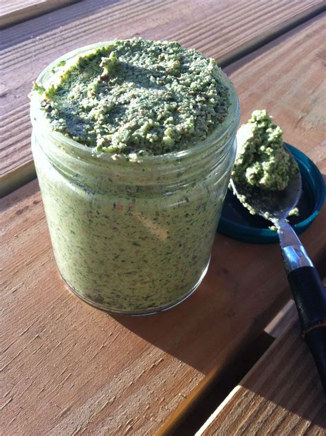 Vegan Pesto Recipe | Vegan pesto recipe, Pesto recipe, Pine nut recipes