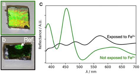 Inverse opals with reactive surface chemistry as sensors for aqueous ...