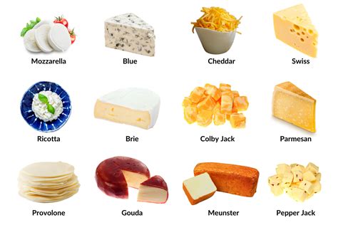 Say Cheese for Protein | National Agriculture in the Classroom