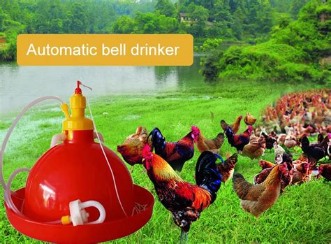 Hot Product Animal Husbandry Equipment Chicken Drinker Bell Drinkers Poultry Plason - Buy Sells ...