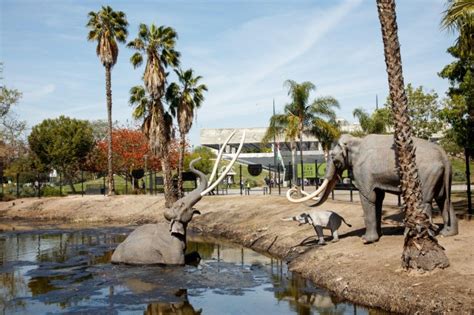 La Brea Tar Pits Map - Maping Resources