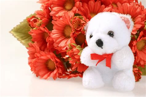 Flower Teddy Bear Wallpapers - Top Free Flower Teddy Bear Backgrounds ...