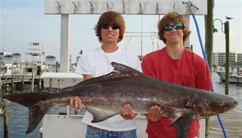 Fishing Destin – Fishing, deep sea, bay, Destin Florida