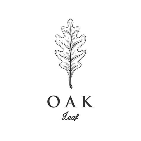 Oak Leaf Png, Vector, PSD, and Clipart With Transparent Background for Free Download | Pngtree