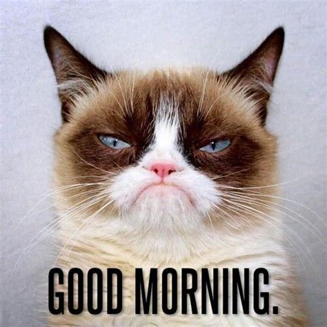 Grumpy Morning Face