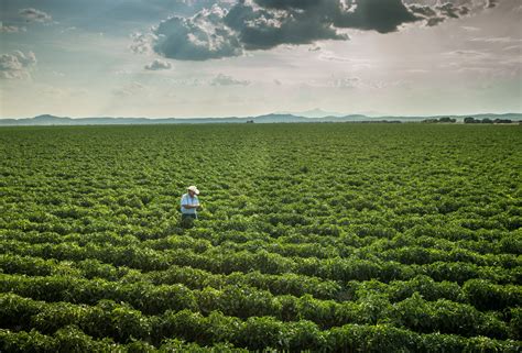 17 creative and delicious uses of New Mexico's green chile