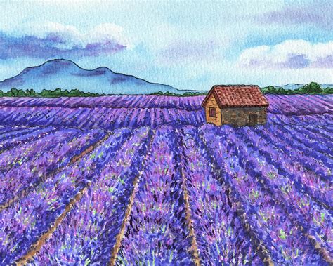 Lavender Fields Of French Province Herb De Provence Watercolor Painting by Irina Sztukowski ...