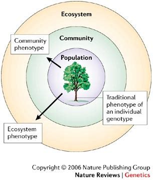 C2: COMMUNITIES AND ECOSYSTEMS - Mi sitio