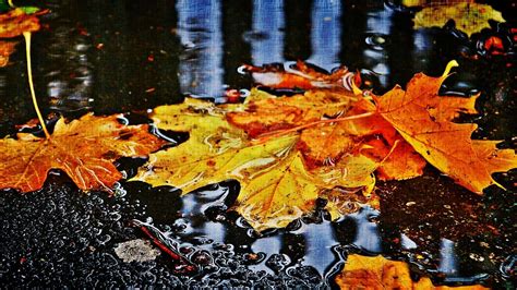 Autumn Rain Desktop Wallpapers - Top Free Autumn Rain Desktop ...