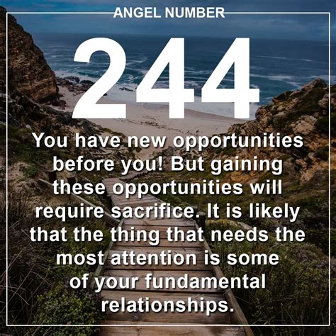 Angel Number 244 Meanings – Why Are You Seeing 244?