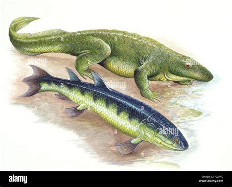 Devonian Animals