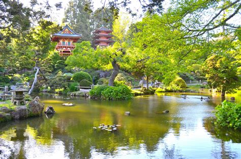 10 BEST Attractions at Japanese Tea Garden (San Francisco) - CityBOP