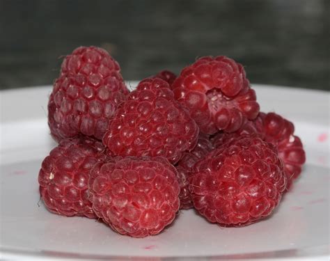 Free Images : plant, raspberry, berry, sweet, food, red, produce, eat, delicious, blackberry ...