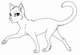 M/coloring And Kits Warrior Cats Mates Base Coloring Pages sketch template
