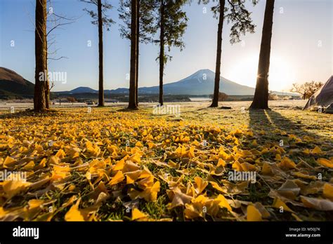 Mount Fuji Sunrise Stock Photo - Alamy