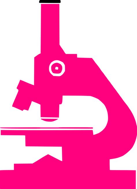 Science Microscope Pink · Free vector graphic on Pixabay